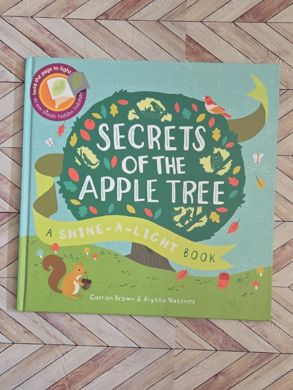 Secrets of the Apple Tree: A Shine-a-Light Book by Carron Brown & Alyssa Nassner